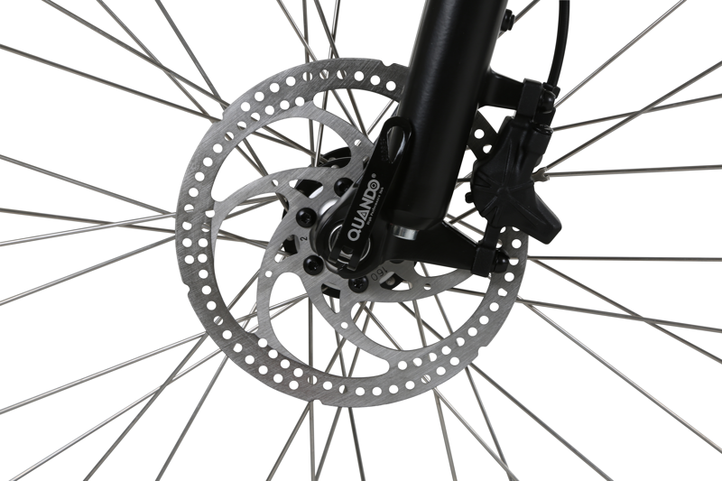 Forme Sterndale HTE Black Electric Bike-2